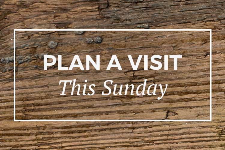 Plan a visit this Sunday